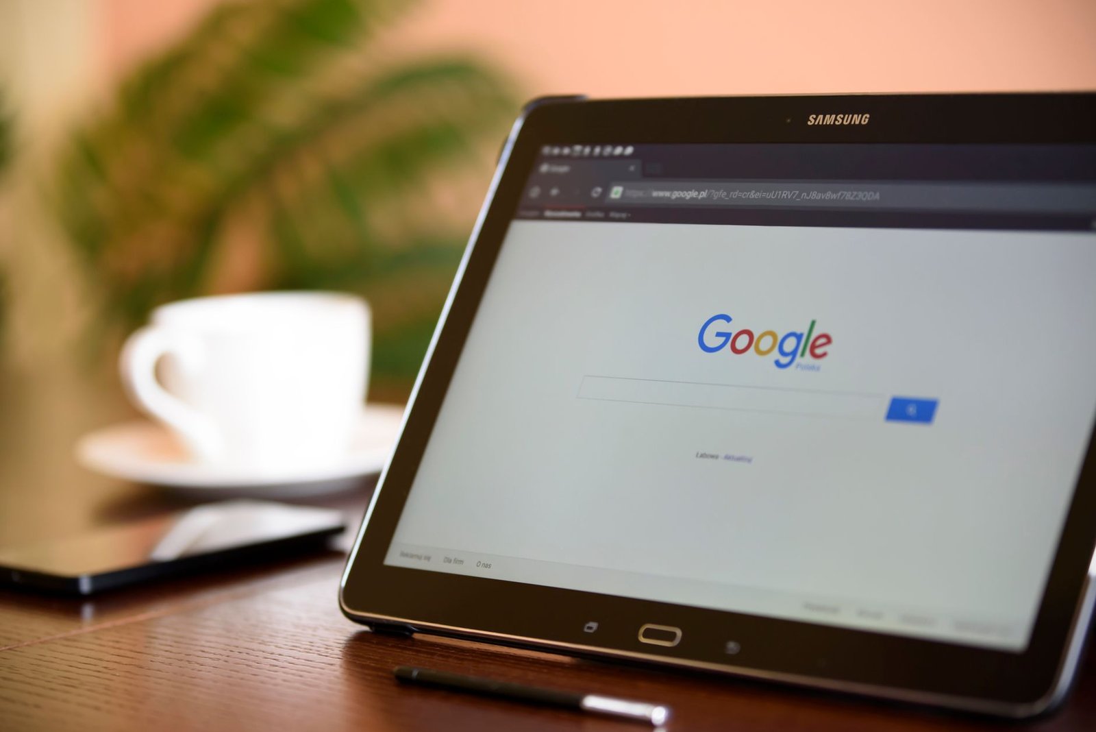 Passmark Zoom Search Engine 2026.1 Última Descarga Descarga Gratis